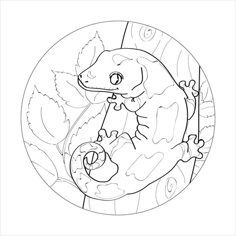 Chahoua Colouring Page (Digital Download) , Reptile Edge, Reptile Edge - Reptile Edg,